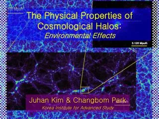 The Physical Properties of Cosmological Halos: Environmental Effects