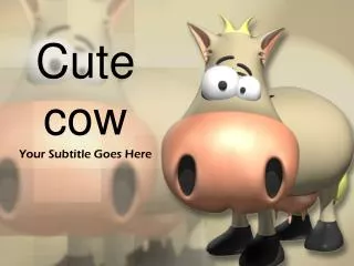 Cute cow