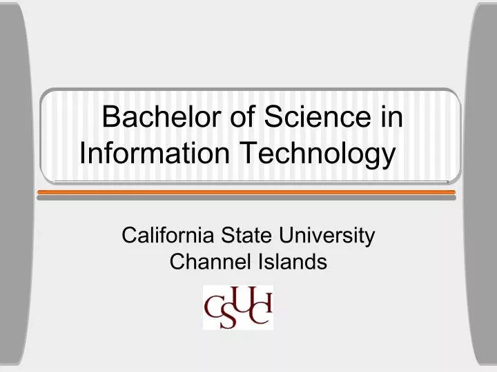 bachelor of science in information technology