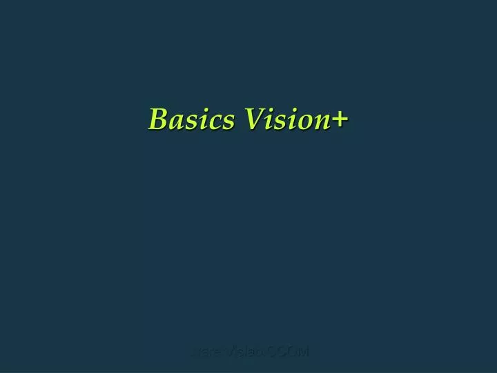 basics vision