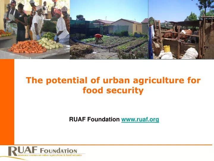 the potential of urban agriculture for food security
