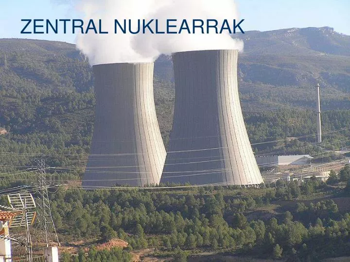 zentral nuklearrak