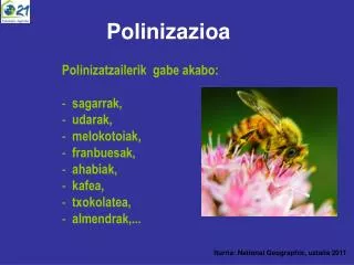 polinizazioa