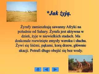 jak yj
