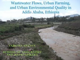 Wastewater Flows, Urban Farming, and Urban Environmental Quality in Addis Ababa, Ethiopia