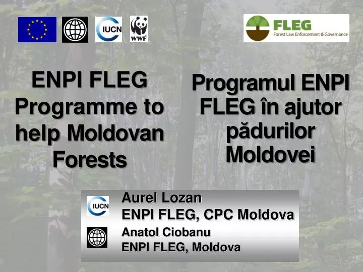 enpi fleg programme to help moldovan forests