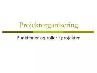 projektorganisering
