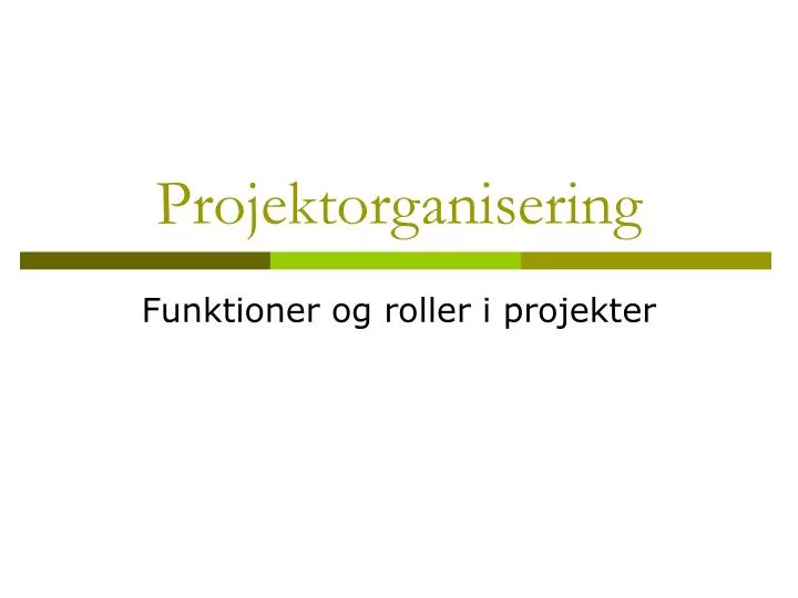 projektorganisering