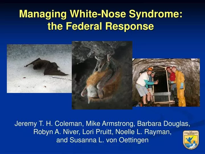 managing white nose syndrome the federal response