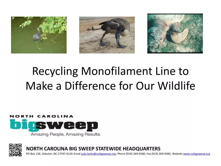 recycling monofilament line to make a difference for our wildlife