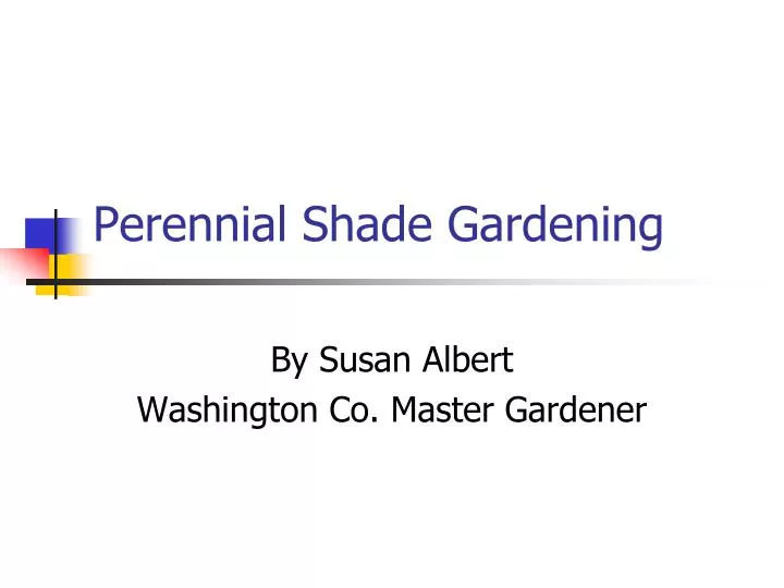 perennial shade gardening