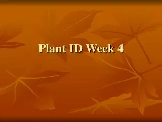 plant id week 4