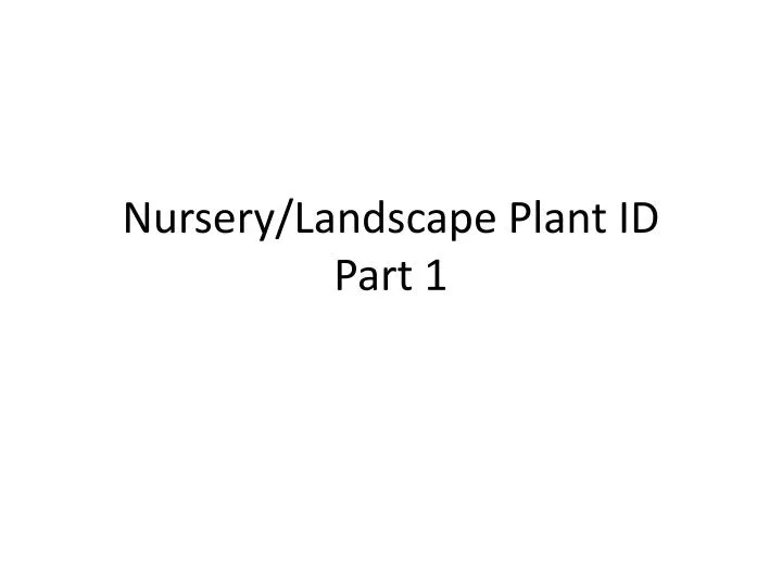 nursery landscape plant id part 1