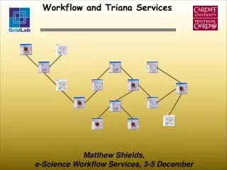 Workflow and Triana Services