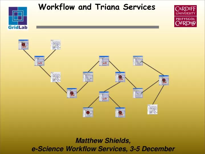 workflow and triana services