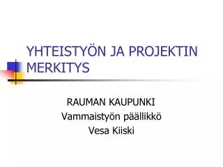 yhteisty n ja projektin merkitys