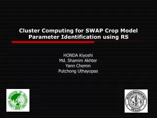 Cluster Computing for SWAP Crop Model Parameter Identification using RS