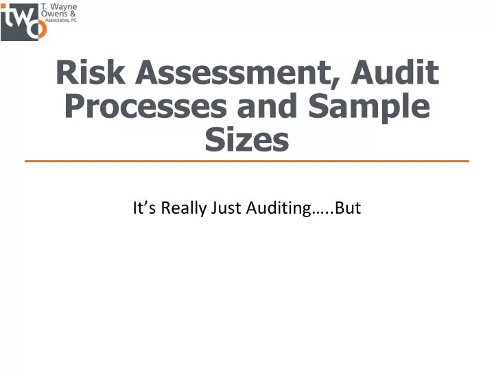 risk assessment audit processes and sample sizes