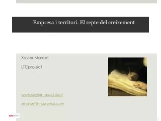 empresa i territori el repte del creixement