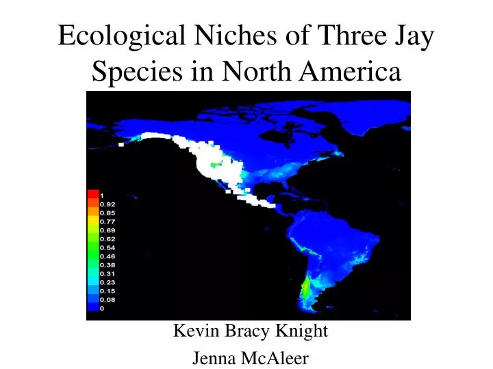 ecological niches of three jay species in north america