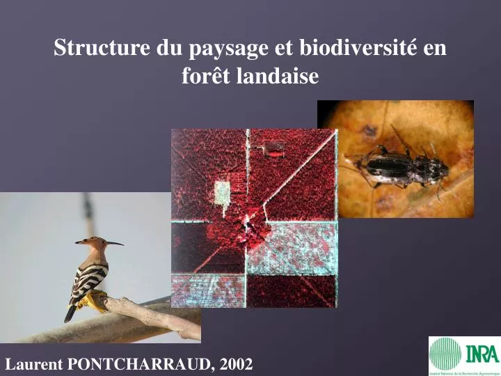 structure du paysage et biodiversit en for t landaise