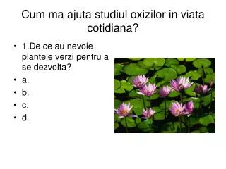 Cum ma ajuta studiul oxizilor in viata cotidiana?