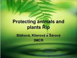 Protecting animals and plants Říp