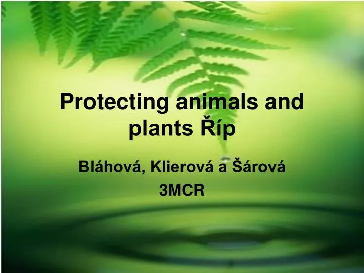 protecting animals and plants p