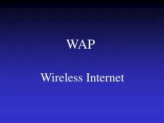 wap wireless internet