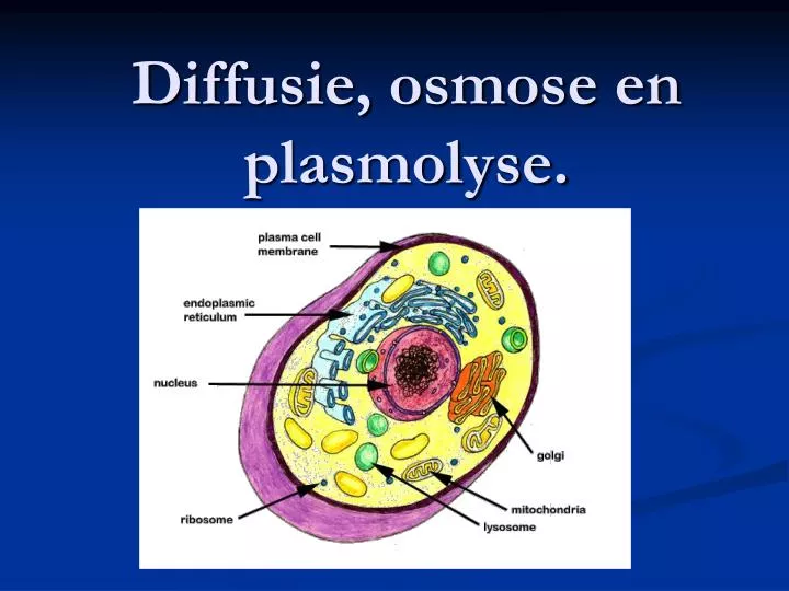 diffusie osmose en plasmolyse