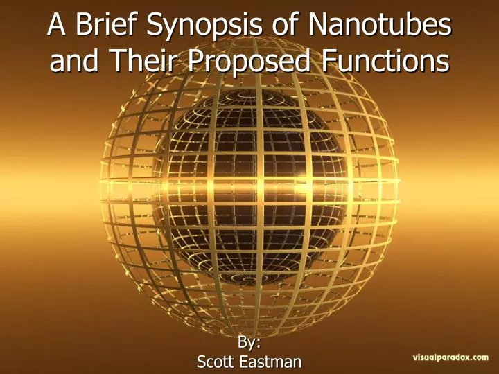a brief synopsis of nanotubes and their proposed functions