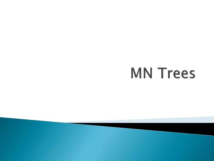 mn trees