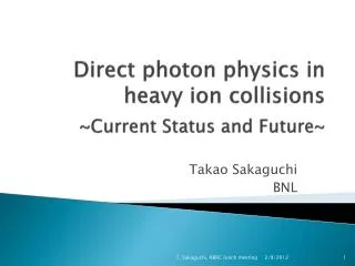 Direct photon physics in heavy ion collisions ~Current Status and Future~