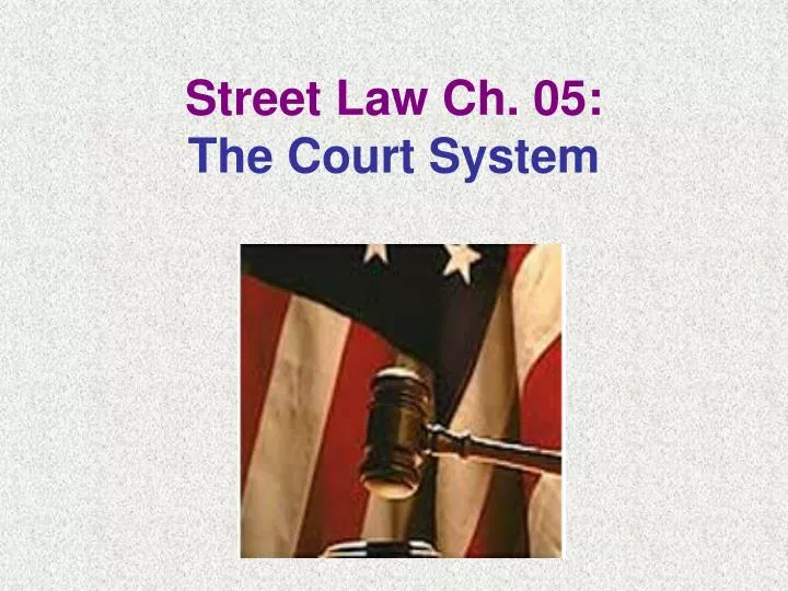 street law ch 05 the court system