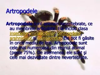 artropodele