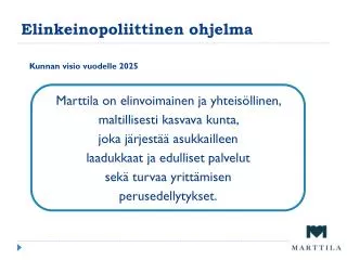 elinkeinopoliittinen ohjelma