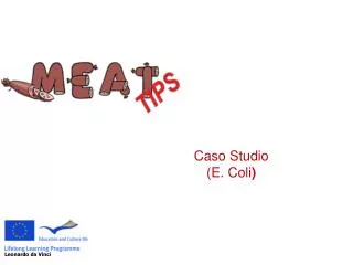 caso studio e coli