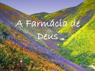 a farm cia de deus