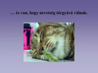 s van hogy nevets g t rgy v v lnak