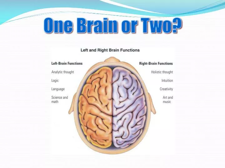 one brain or two