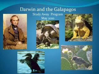 Darwin and the Galapagos Study Away Program May 2010