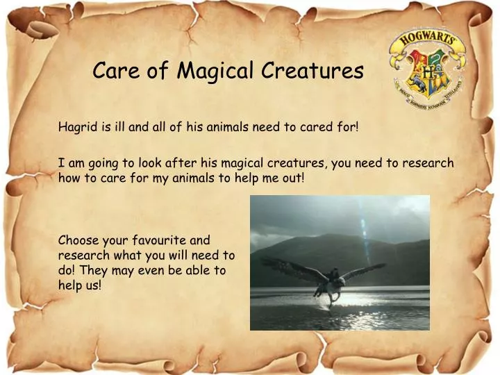 care of magical creatures