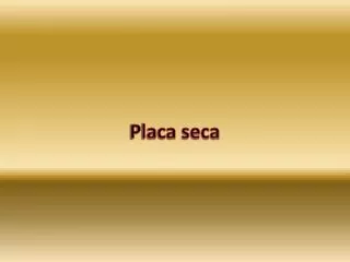 placa seca