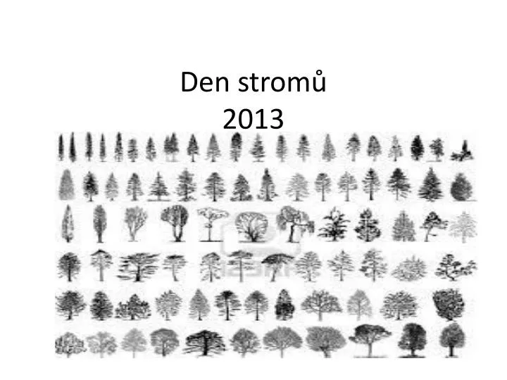 den strom 2013