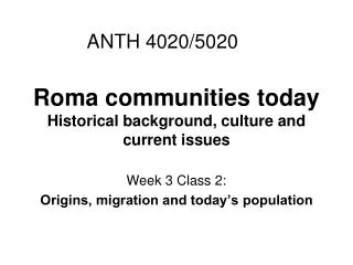 Roma communities today Historical background, culture and current issues