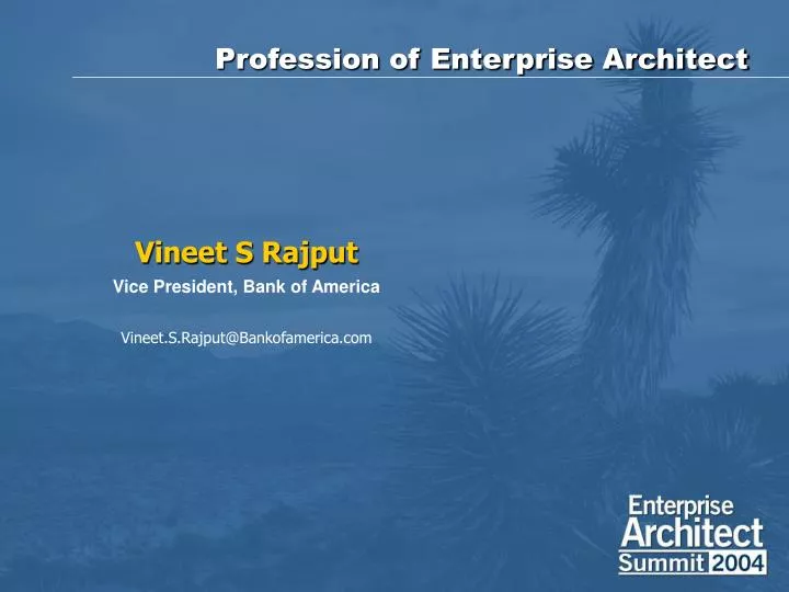 profession of enterprise architect