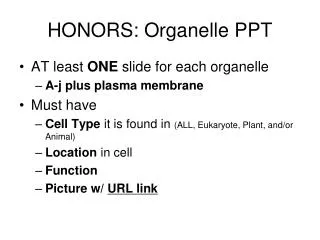 HONORS: Organelle PPT