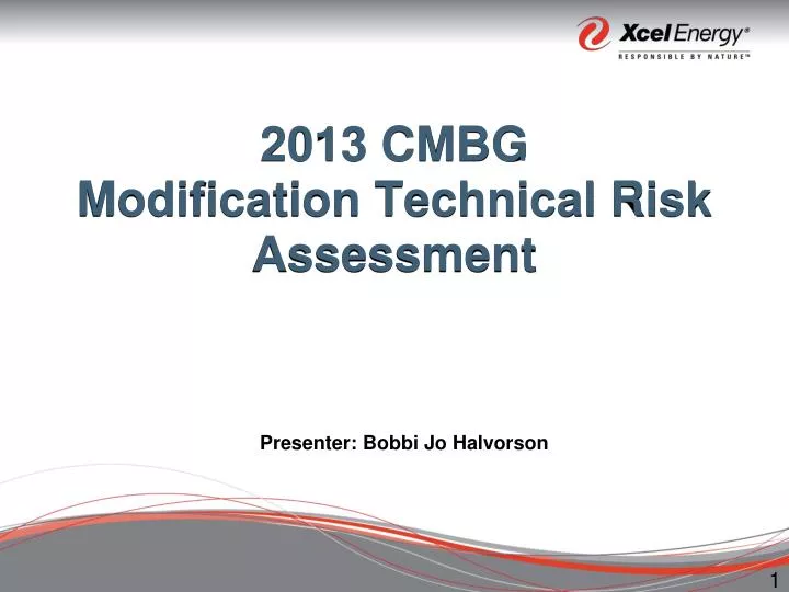 2013 cmbg modification technical risk assessment