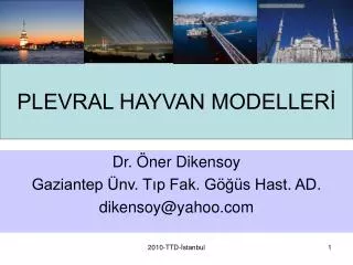 plevral hayvan modeller