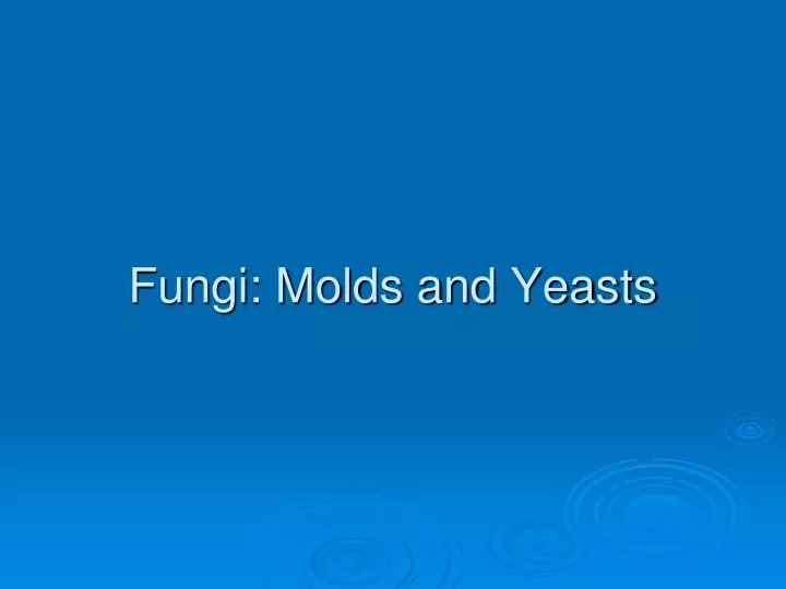 fungi molds and yeasts